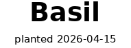 Garden plant tag reading 'Basil, planted 2026-04-15'